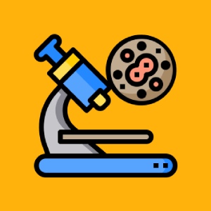 آزمون علوم ششم ابتدایی